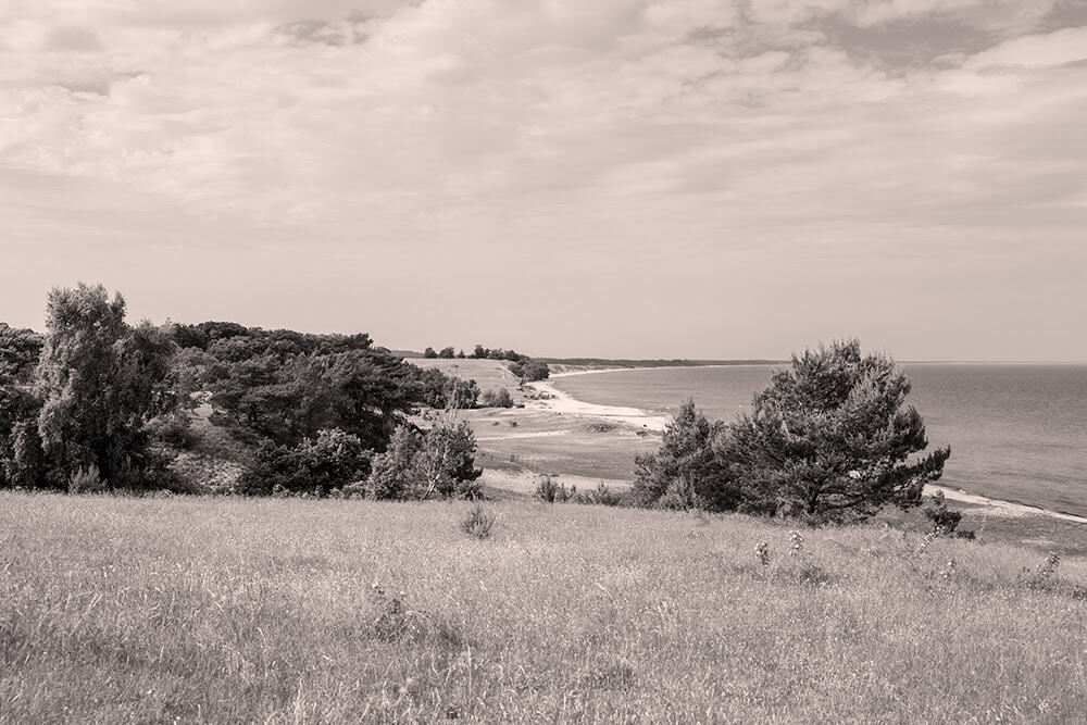 Havang sepia