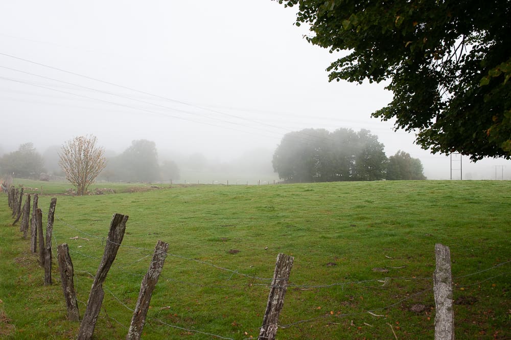 Natur & landskap