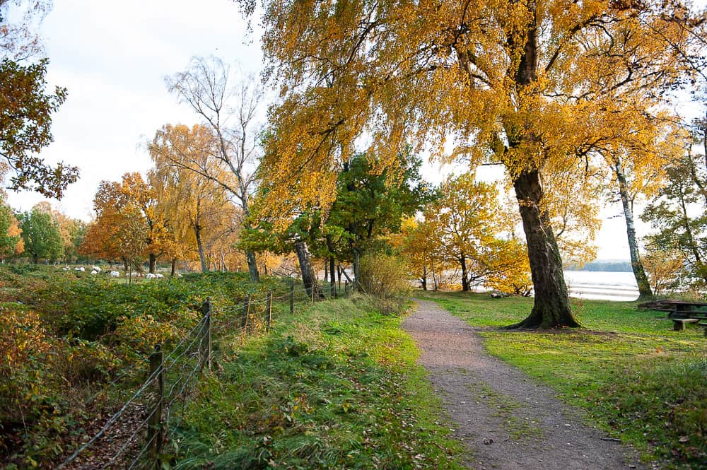 Natur & landskap