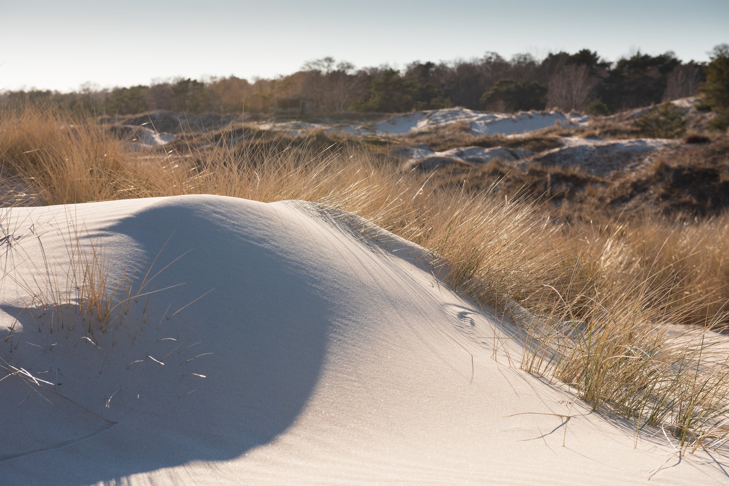 Sandhammaren