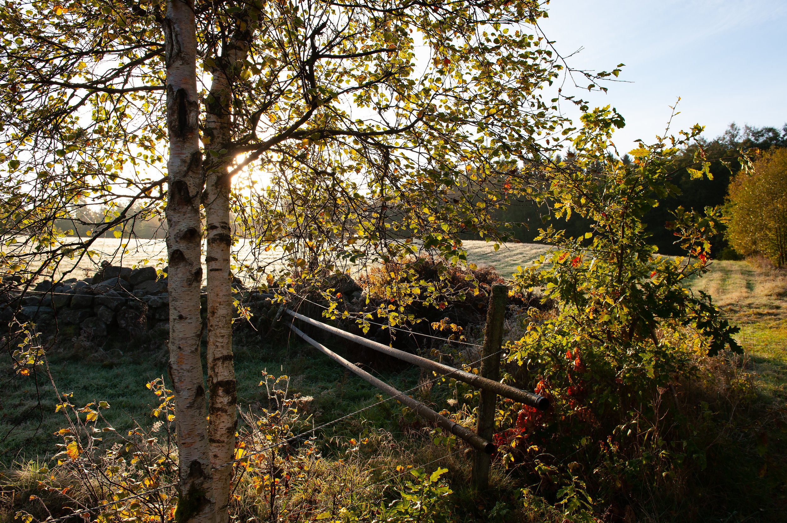 Natur & landskap