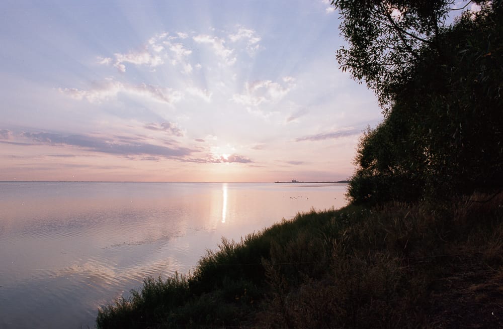 Natur & landskap