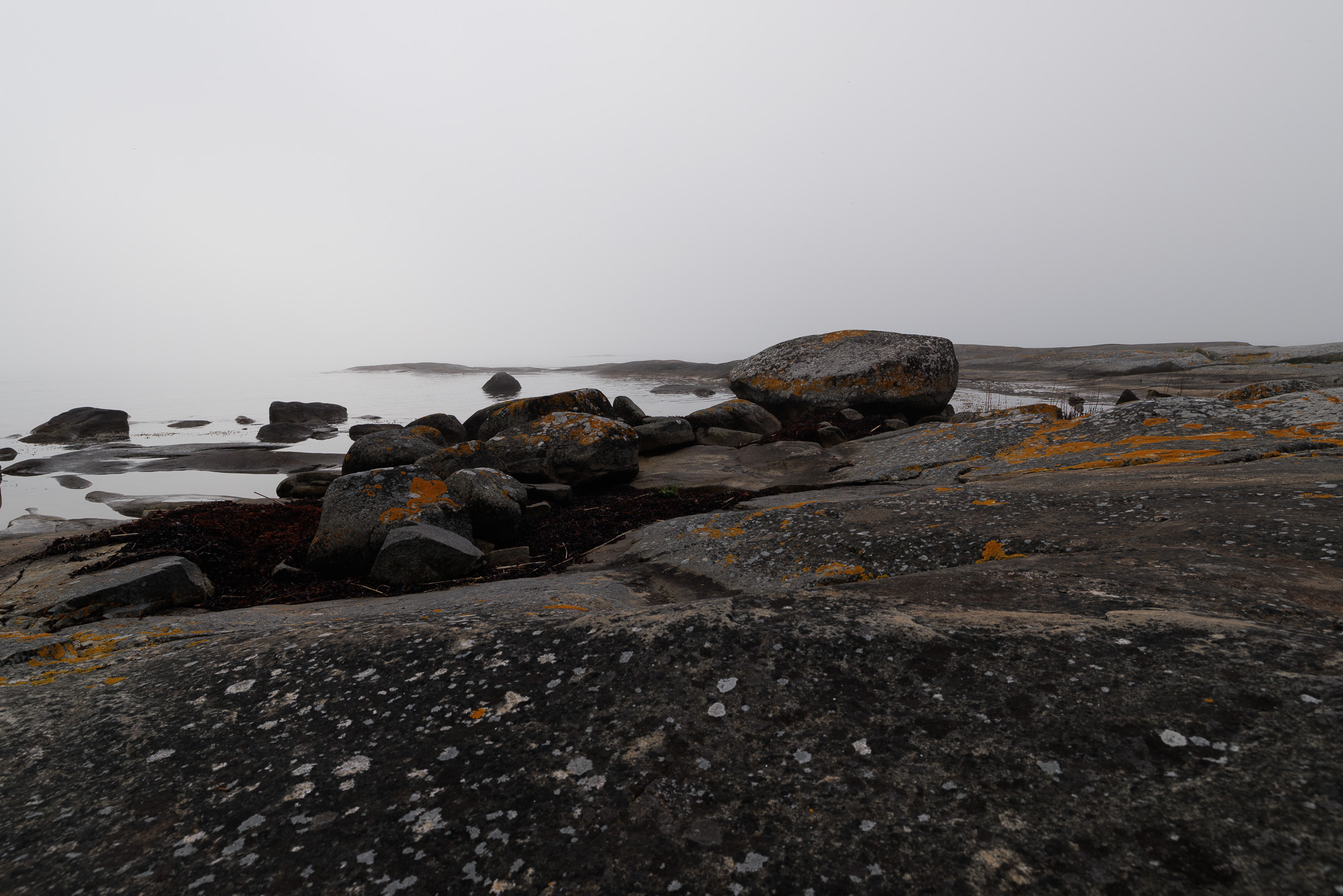 Klippor och stenblock vid havet i dimma i Stärnö-Boön Naturreservat