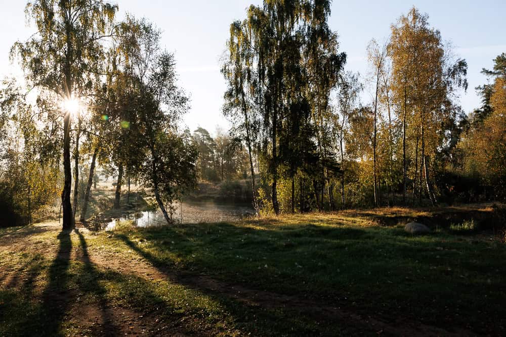 Tidig morgonbild