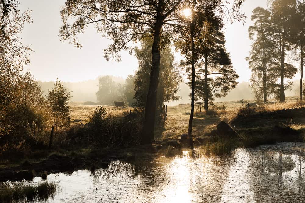 naturfotograf