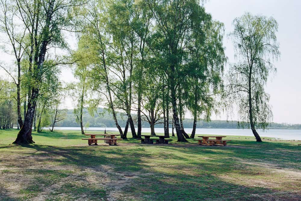 Vårmotiv