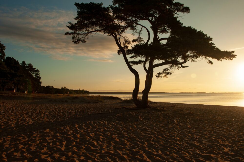 Stranden vid Åhus