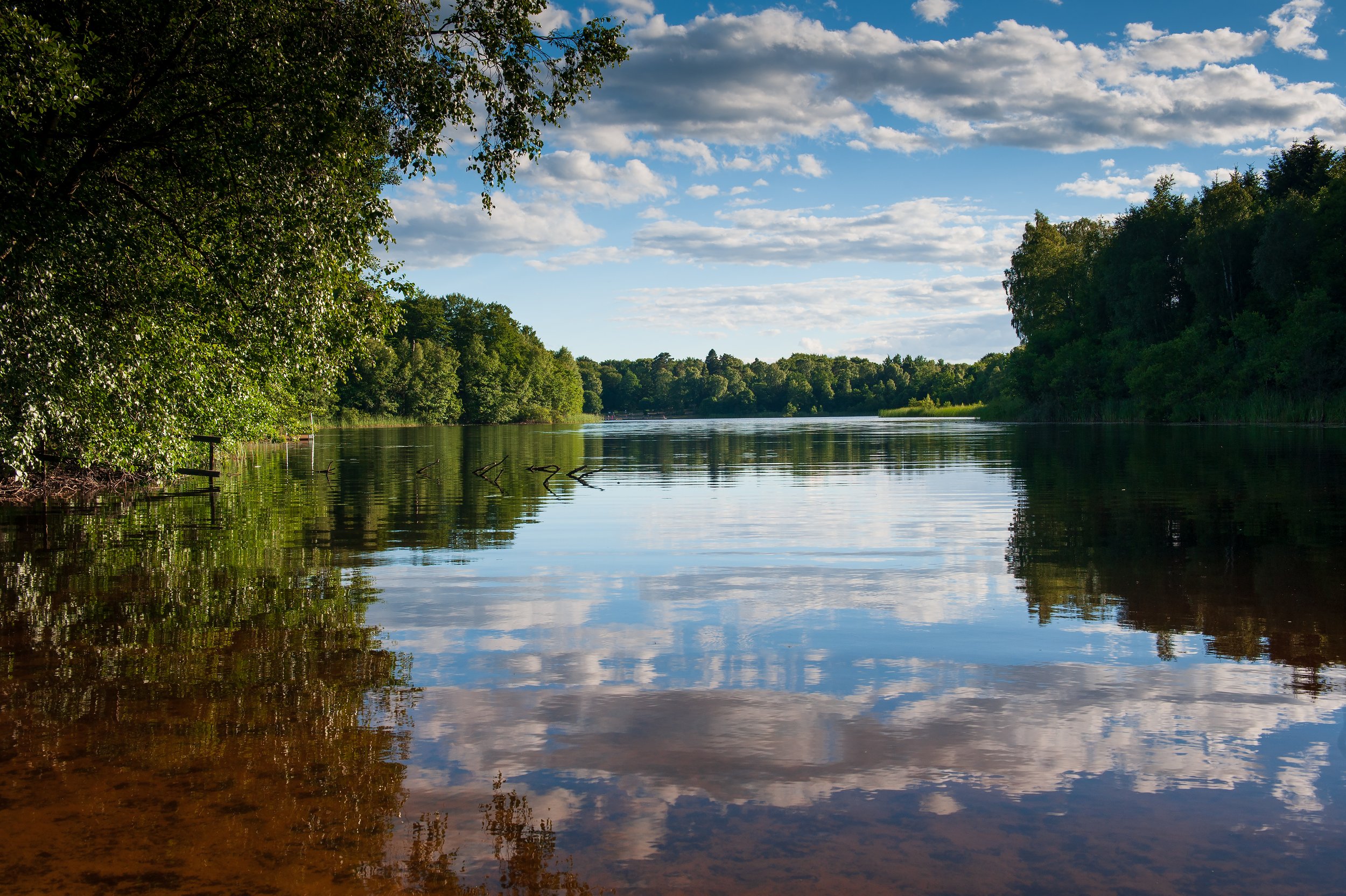 Natur & landskap