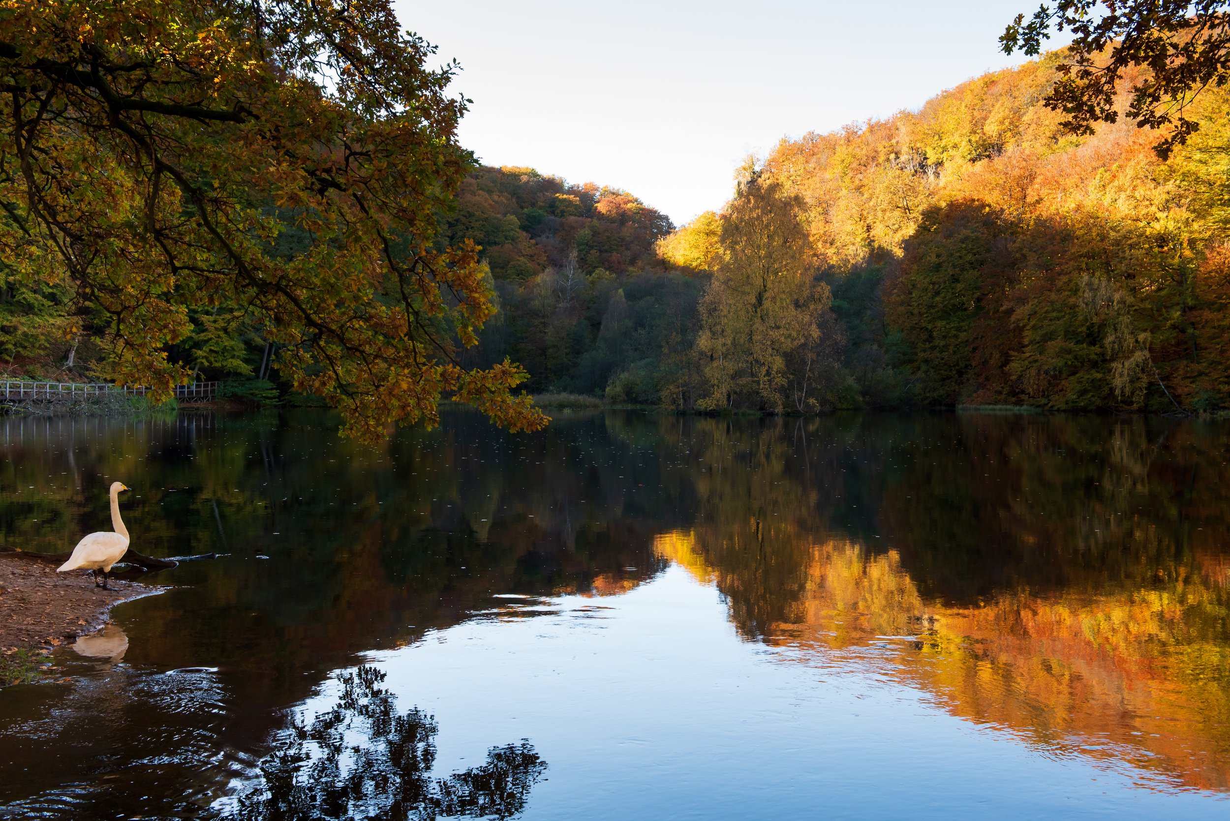 Natur & landskap