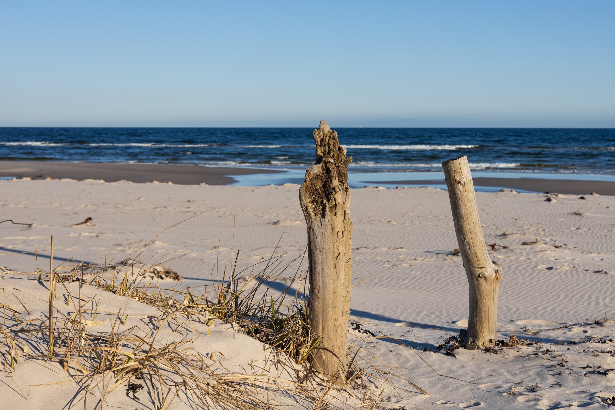 Natur & landskap