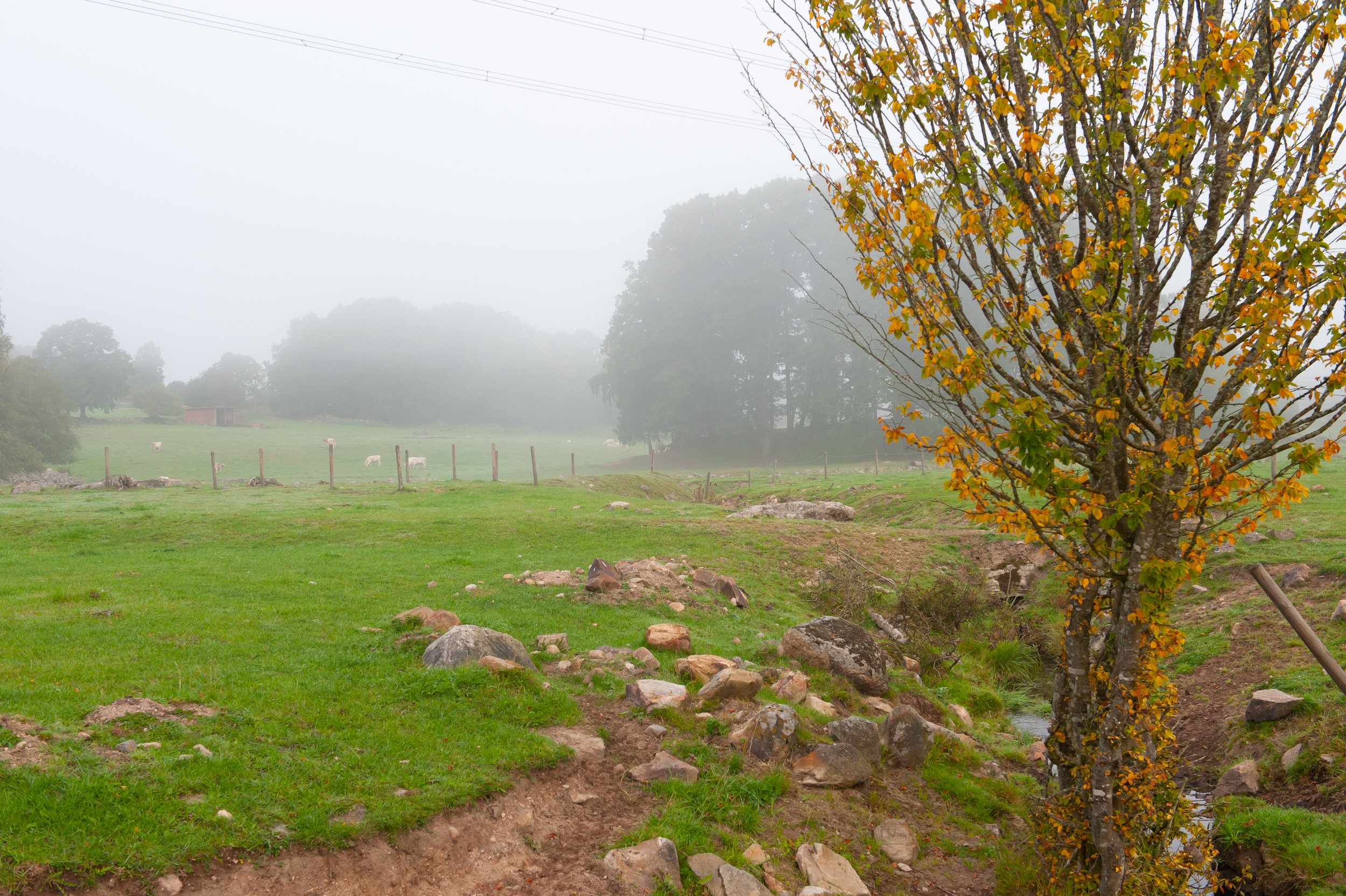 Natur & landskap