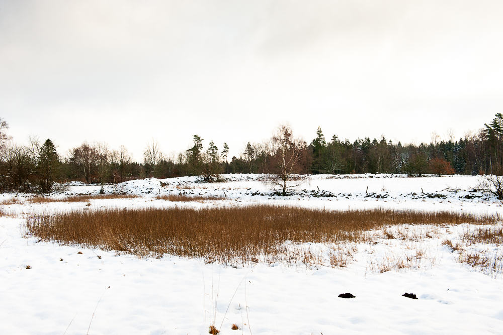 Vinter